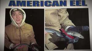 Kid fish species list