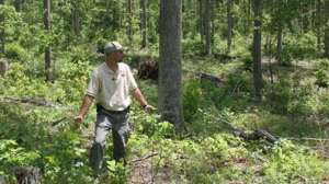 Landmanagement700 181003 155446