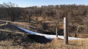 Lead pic sanctuaries