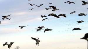 Lessers keller700 181003 162235