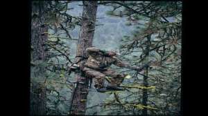 Linkelk1 700 181004 084735