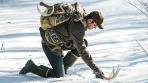 Looking for shed antlers winter