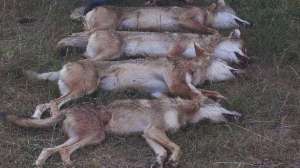 Mark 1 700 181003 162129