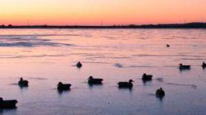 Mississippi flooding 181004 084536