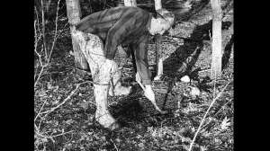 Mockscrape700 181003 154659