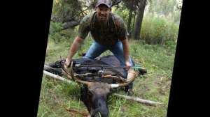 Montana moose hunting may lead 181003 154704