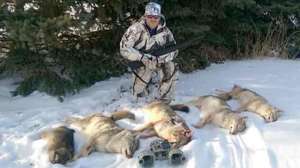 Mooning yotes 2 181003 162119