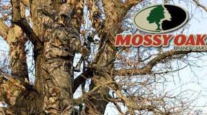 Mossy oak ab july lead 181003 154716