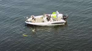 Muskie catch on drone