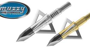 Muzzy august ab pp lead 181003 155148