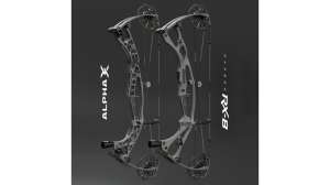New Hoyt flagships cropped