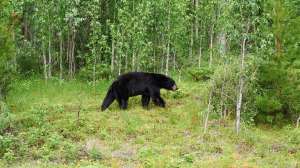 New i Stock 618059676