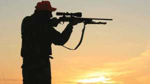 Nighttime 1 hunting predators hunter silhouette photo by michael faw