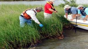 Noaa700 181003 161604