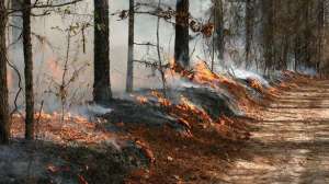 Nwtf prescribed fire700 181003 160029