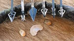 Oct04 kayser beefup4elka1 3of5 700 181003 155752