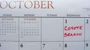 October fall coyote hunting lead 181003 160307