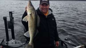 Offbeat walleye image 181003 155821