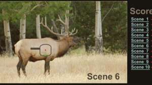 Online elk hunting game lead 181003 154946