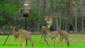 Otr aboutus image 5 web700 181003 155639