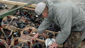 Otr mdjfl cans and old man 3 700 72dpi rgb 181004 084613