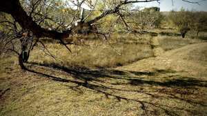 Overhunting your deer stand