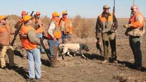 Pheasant hunting courtesy 181003 162312