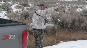 Predator checklist lead 181003 155117