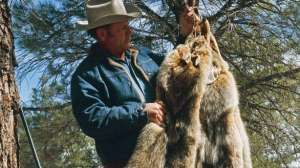 Preparing furs october lead 181203 143130