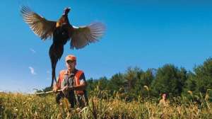 Primland lead 181003 161640