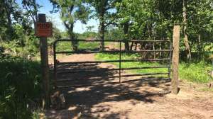 Private land gate deer hunting