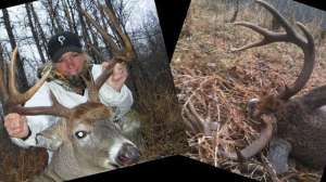 Prois lead 181003 155205