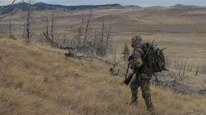 Px huntingwolves700 181003 160147