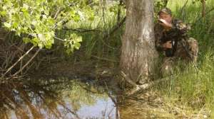 Px kayser summercalling700 181003 155630