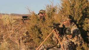 Px kayserbobcats700 181003 161344