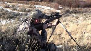 Px longrangecoyotes700 181003 155425