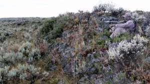 Px may gear organize 181003 154951