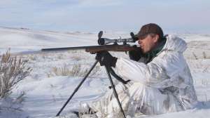 Pxhunter watching for predator movement700 181003 161341