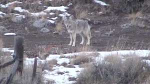 Pxpatientshot700 181003 160535