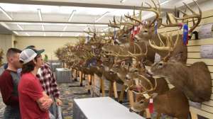 Resize 298201739 5681369638593028 8866040057117654084 n