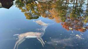 Resize 312629063 10225541840805648 6411539602813965300 n