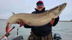 Resize 318843085 495570002554931 32814855696024763 n