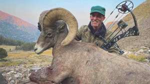 Resize JOHN SCHAFFER DESERT SHEEP 1