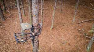 Resize Lightweight Stands Lead 1