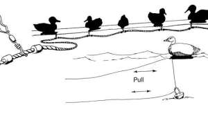 Rigging lead 181003 161845