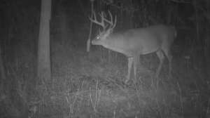 Rope scrape lead pic better