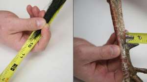 Scoring gobbler lead 181004 084527