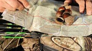 Scout on the go lead 181003 155402