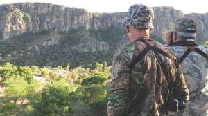 Scouting Goulds turkeys