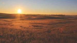 Scouting year round beauty